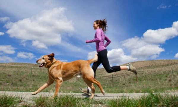 Recomendaciones para salir a correr con el perro