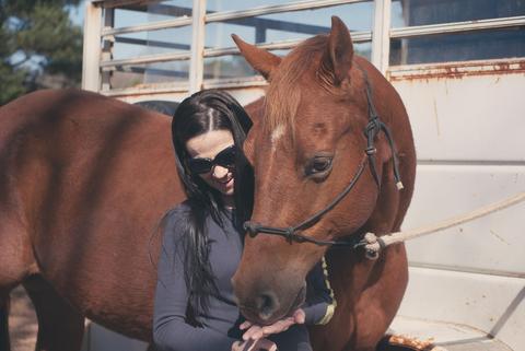 Cuidados básicos para los caballos mascota