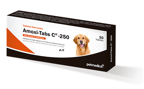 Amoxi Tabs C 250 (50 Tabletas)