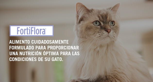 Fortiflora gato probióticos 30 sobres ( fortiflora feline ) REQUIERE TRANSPORTARSE EN FRÍO LLAME PARA COTIZAR ENVÍO