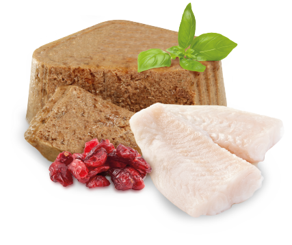 Nupec Felino Urinary 100 g ( Alimento húmedo con pescado y arándanos )