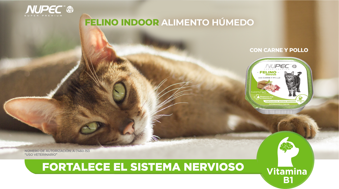 Nupec Felino Indoor 100 g ( Alimento húmedo con carne y pollo )