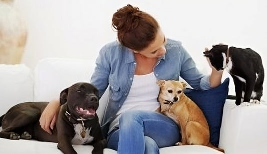 Importancia de la fisiología veterinaria