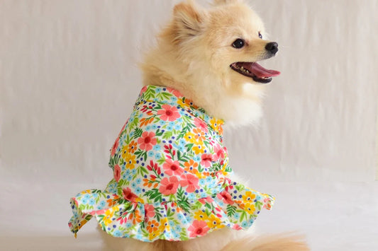 Importancia de la ropa para mascotas