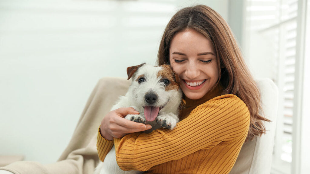 Convivir con perros y gatos pese a la alergia: cómo proteger la salud sin perder el vínculo afectivo