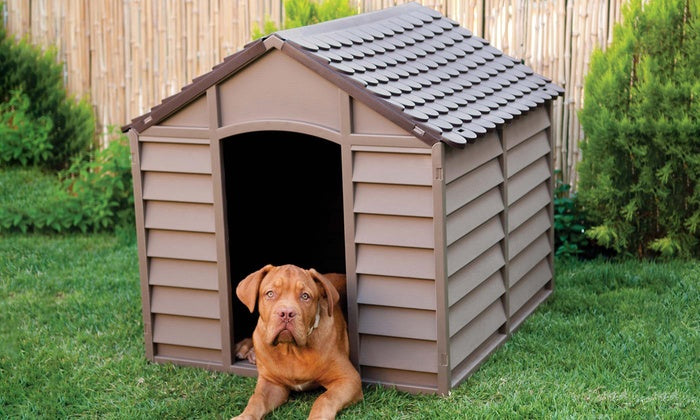 Consejos para comprar una caseta para el perro