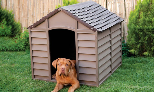 Consejos para comprar una caseta para el perro