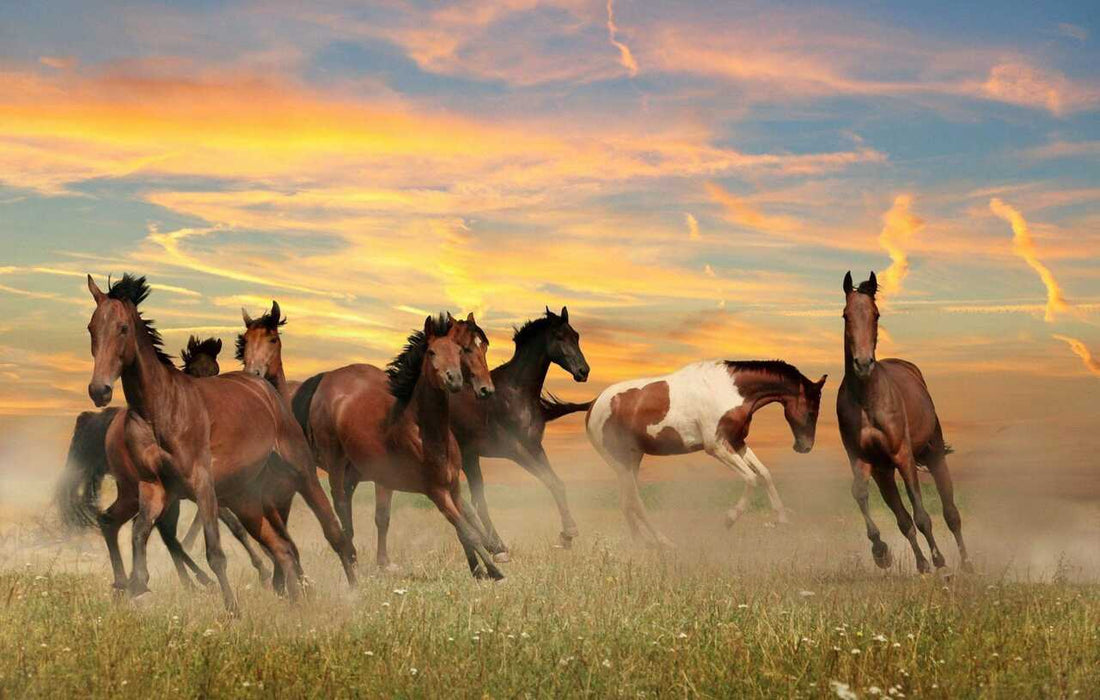 Brotes de influenza equina: prevención y monitoreo veterinario