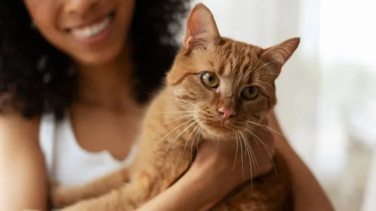Generación Z y mascotas: una nueva forma de vínculo emocional y cultural