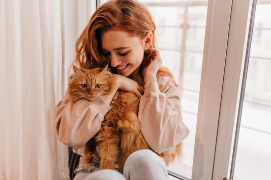Los mejores consejos para los propietarios de mascota primerizos