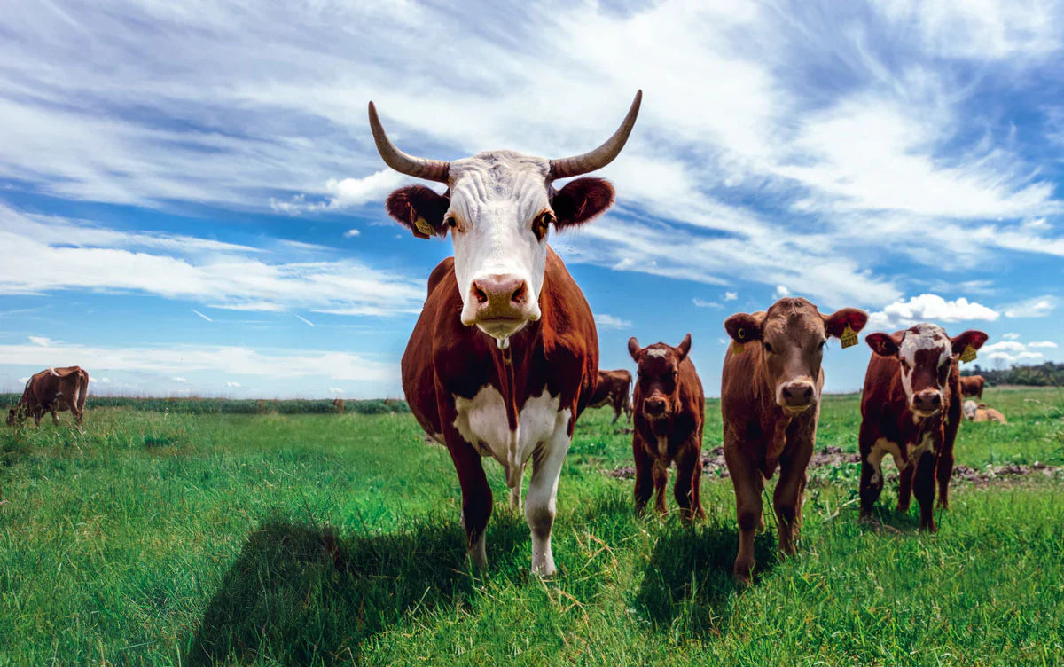 Zoonosis en el entorno pecuario mexicano