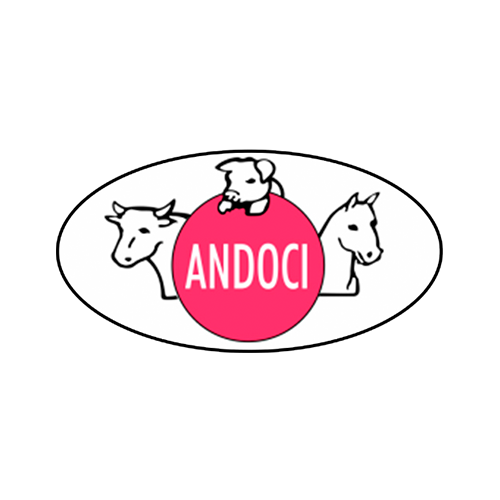 Andoci