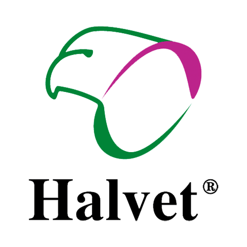 Halvet
