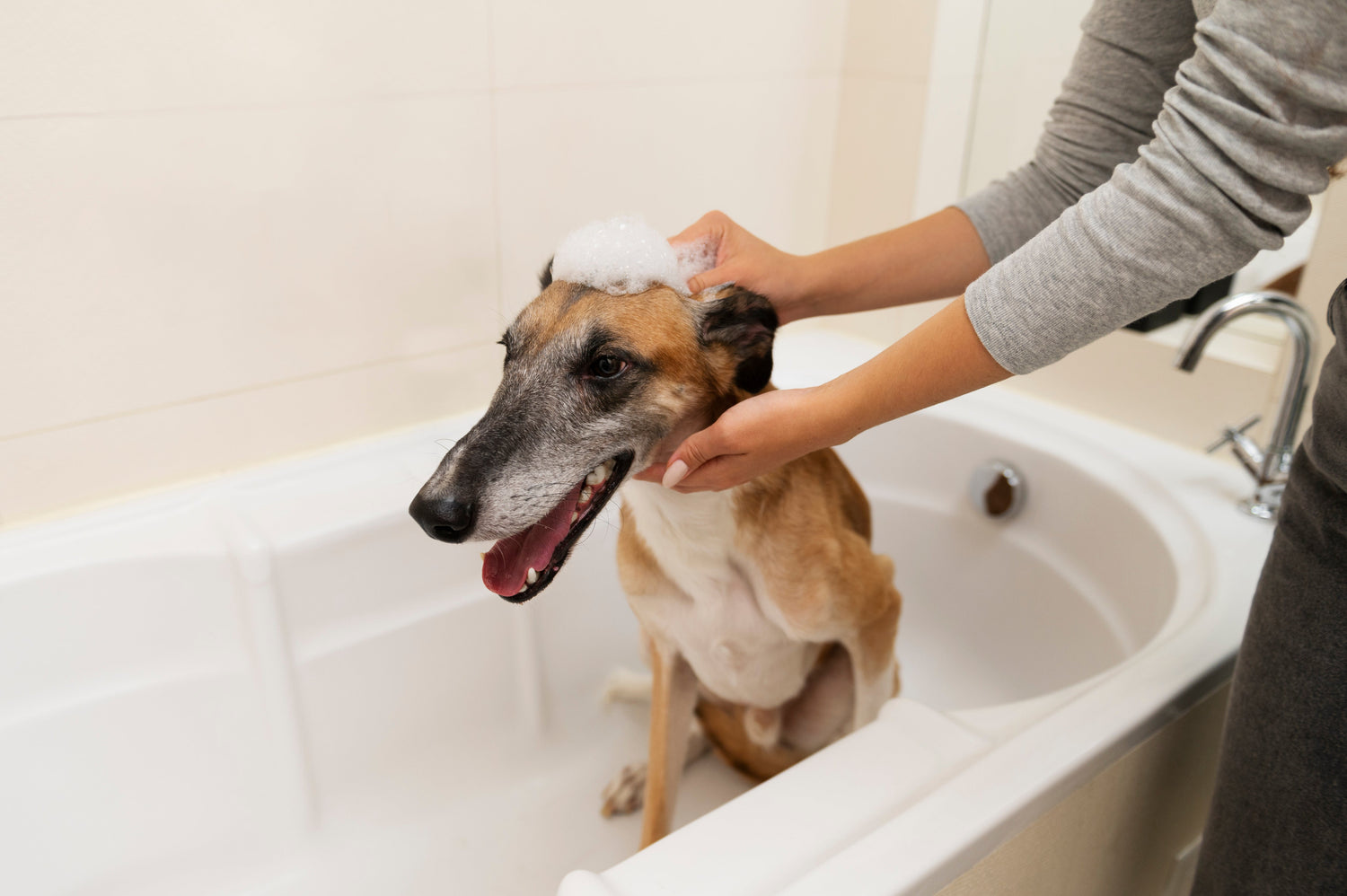Shampoos