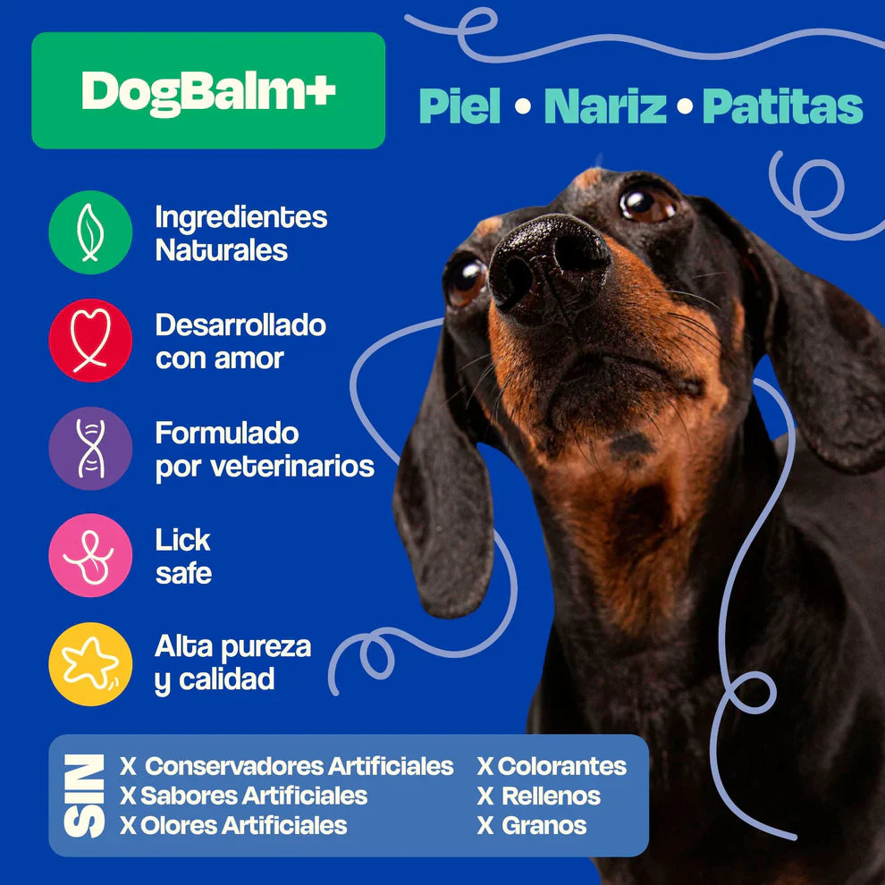 Dogelthy Dog BALM TARRO 50 gr ( Bálsamo Hidratante para Piel, Patitas y Nariz Anti Resequedad y Agrietamiento )