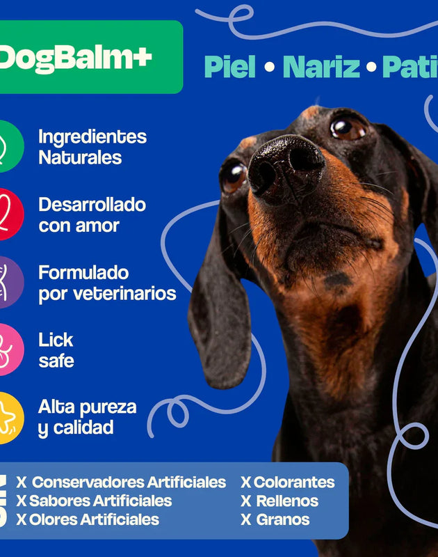 Dogelthy Dog BALM TARRO 50 gr ( Bálsamo Hidratante para Piel, Patitas y Nariz Anti Resequedad y Agrietamiento )