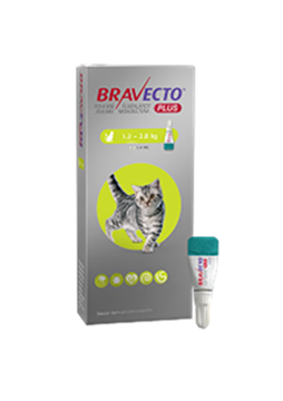 Bravecto Plus Gatos 112.5 mg S (1.2 - 2.8  kg ) Pulgas y garrapatas