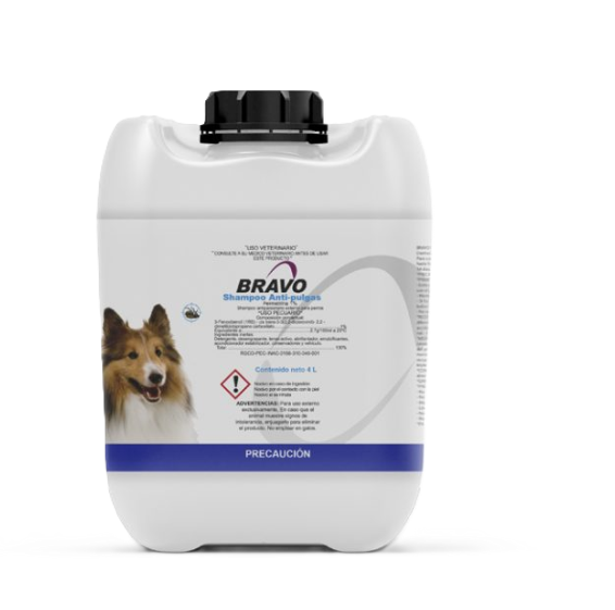 Bravo Shampoo Garrafa 4 L