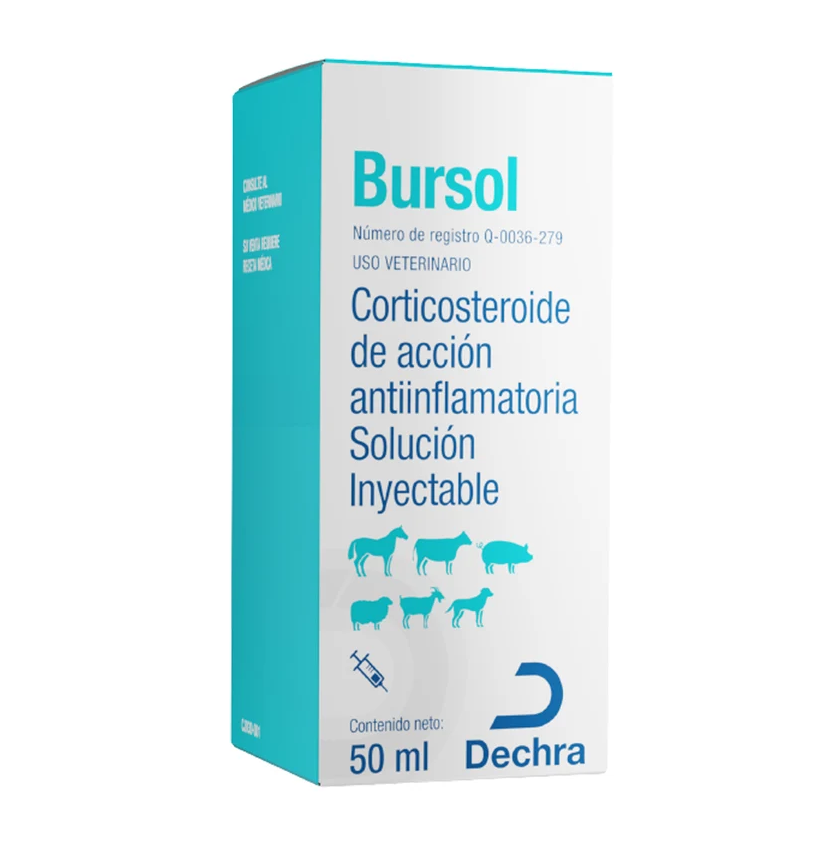 Bursol Frasco ámpula 50 ml