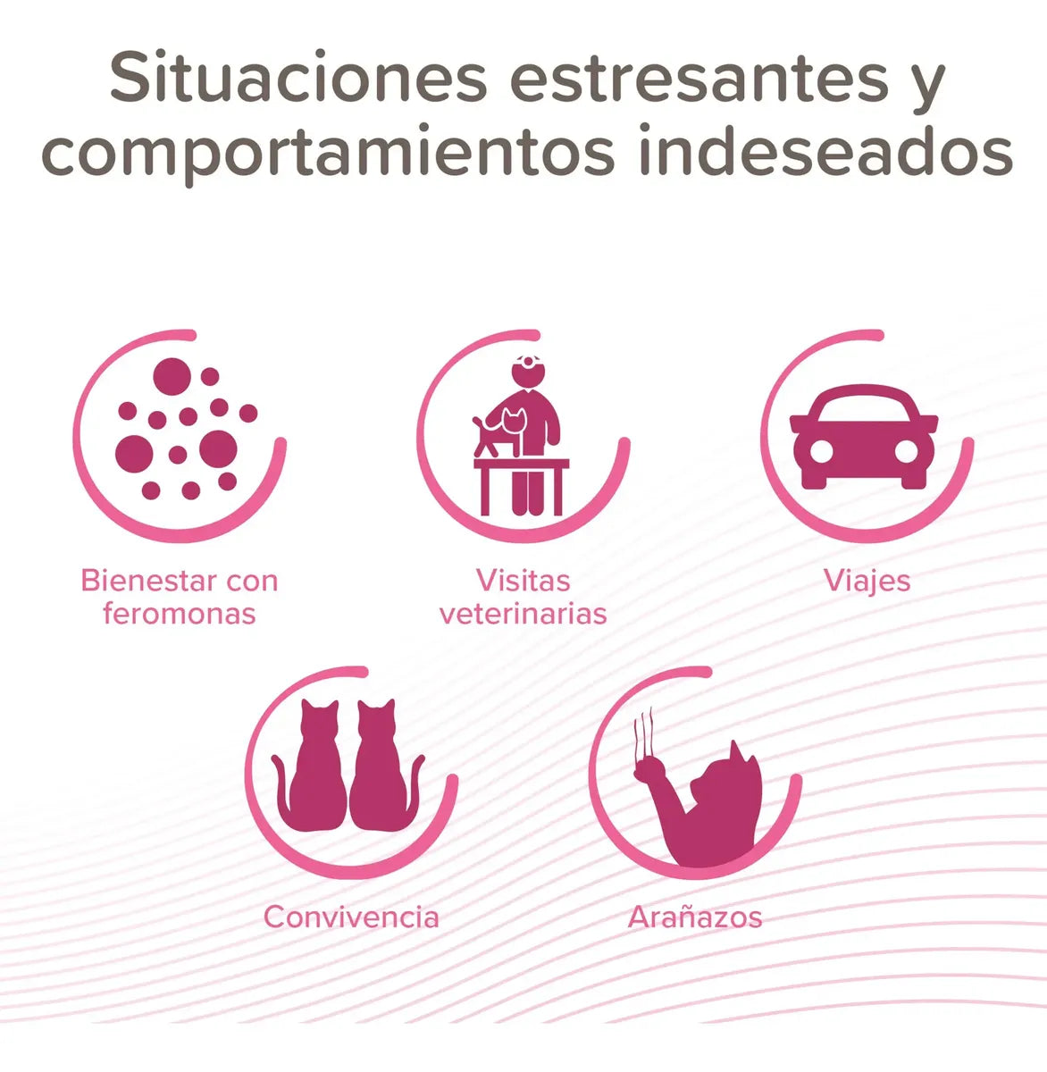 CatComfort Spray 30 mL ( Spray Anti Estrés Calmante para Gatos )