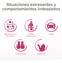 CatComfort Spray 30 mL ( Spray Anti Estrés Calmante para Gatos )