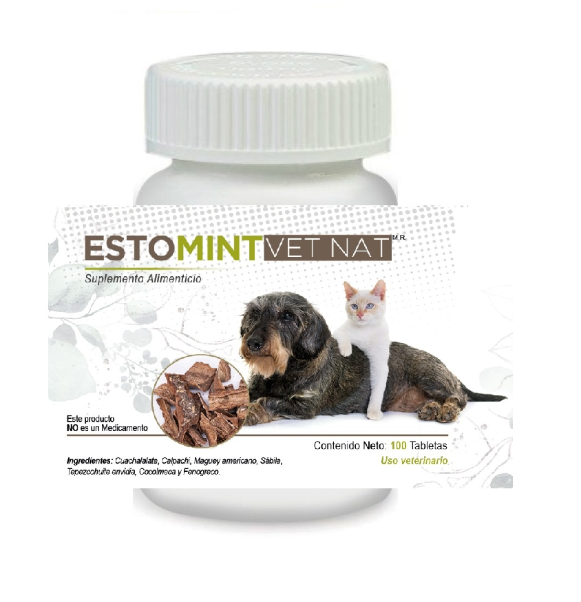 Estomint VetNat 100 Tabletas ( Gastritis ) ANTES Gastri VetNat