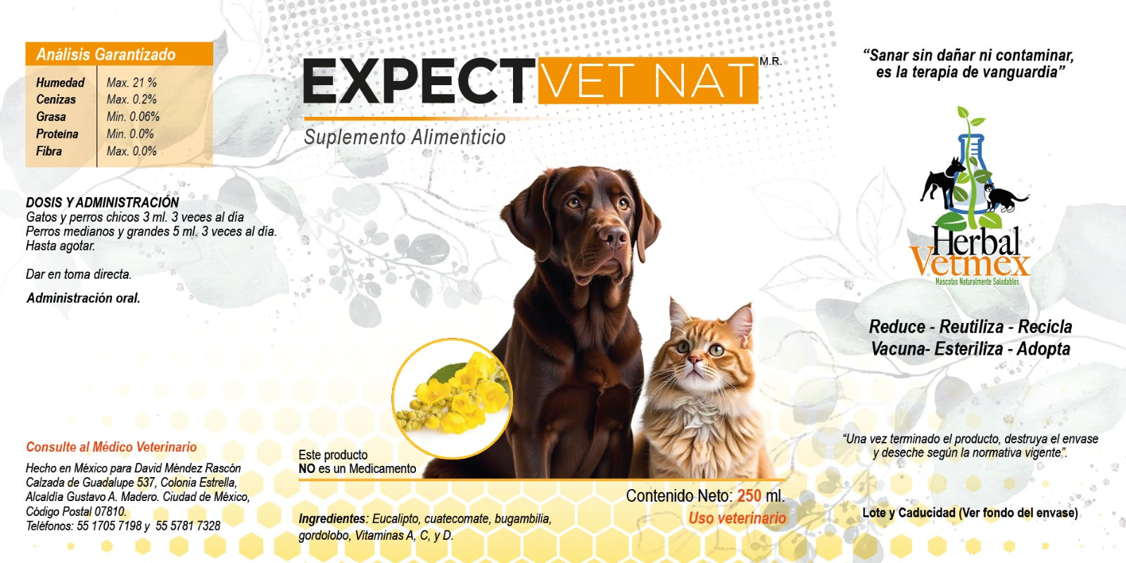 Expect VetNat Jarabe  250 mL ( expectorante ) ANTES BronquiVetNat