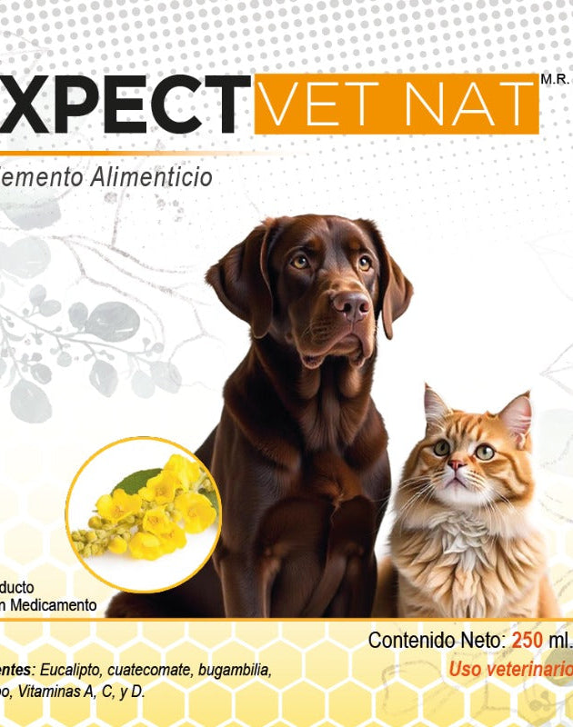 Expect VetNat Jarabe  250 mL ( expectorante ) ANTES BronquiVetNat