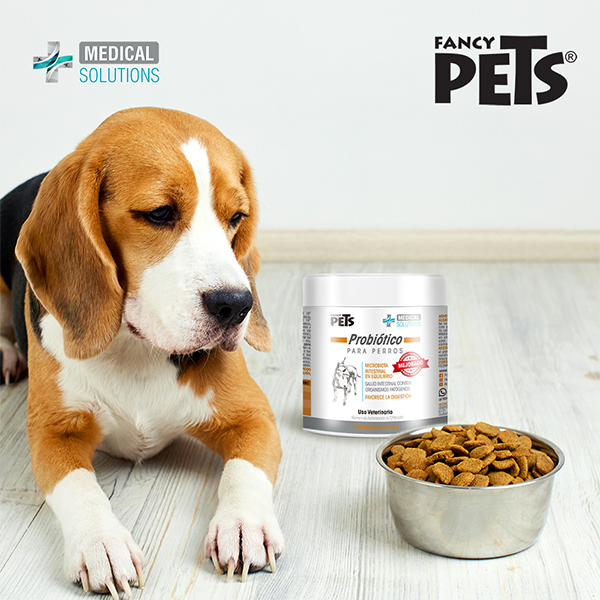 MS Probiótico para Perros 90 gr