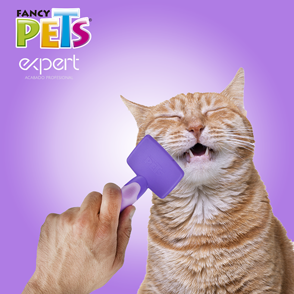 Cepillo c/puntas redondas Expert para GATO