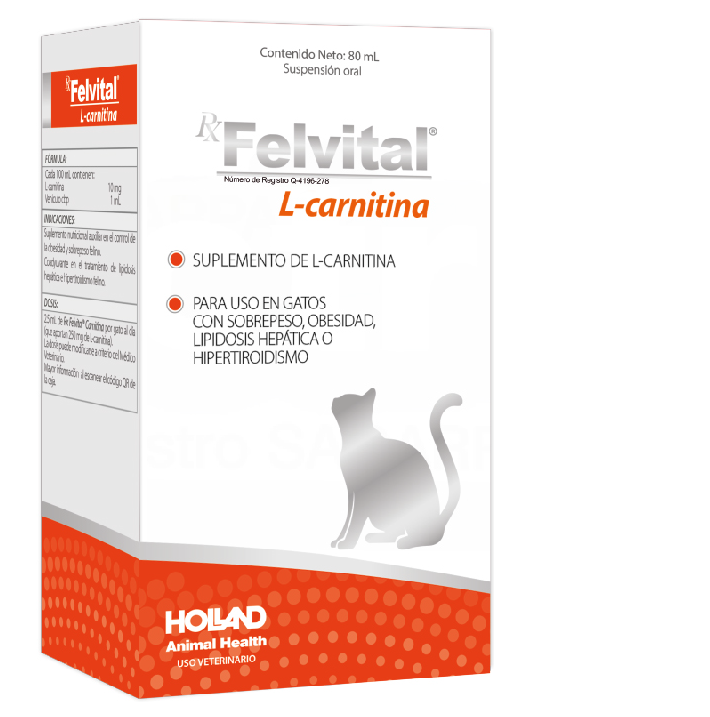 l carnitina jarabe Felvital L-Carnitina Suspensión Oral Gatos 80 mL – Grupo Lovet :: Farmacia  Veterinaria San Bernardo :: Medicamentos veterinarios en general y de  especialidad. Sucursales en Querétaro y CDMX