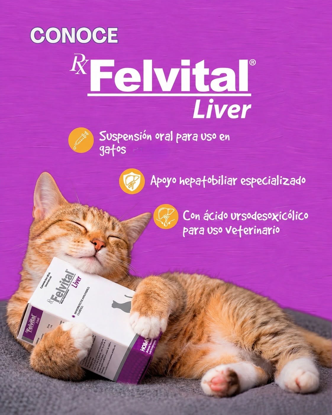 Felvital LIVER 30 mL (Ácido Ursodesoxicólico - Protector Hepático ) PRÓXIMAMENTE