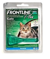 Frontline Plus Gato
