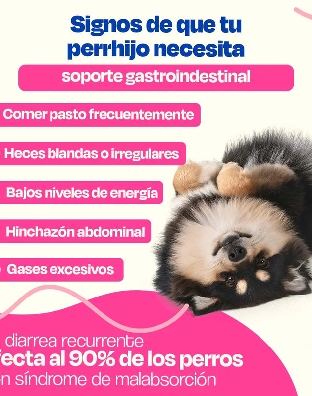 Dogelthy GASTRO AID Sabor Cerdo 270 gr ( Prebióticos + Probióticos )