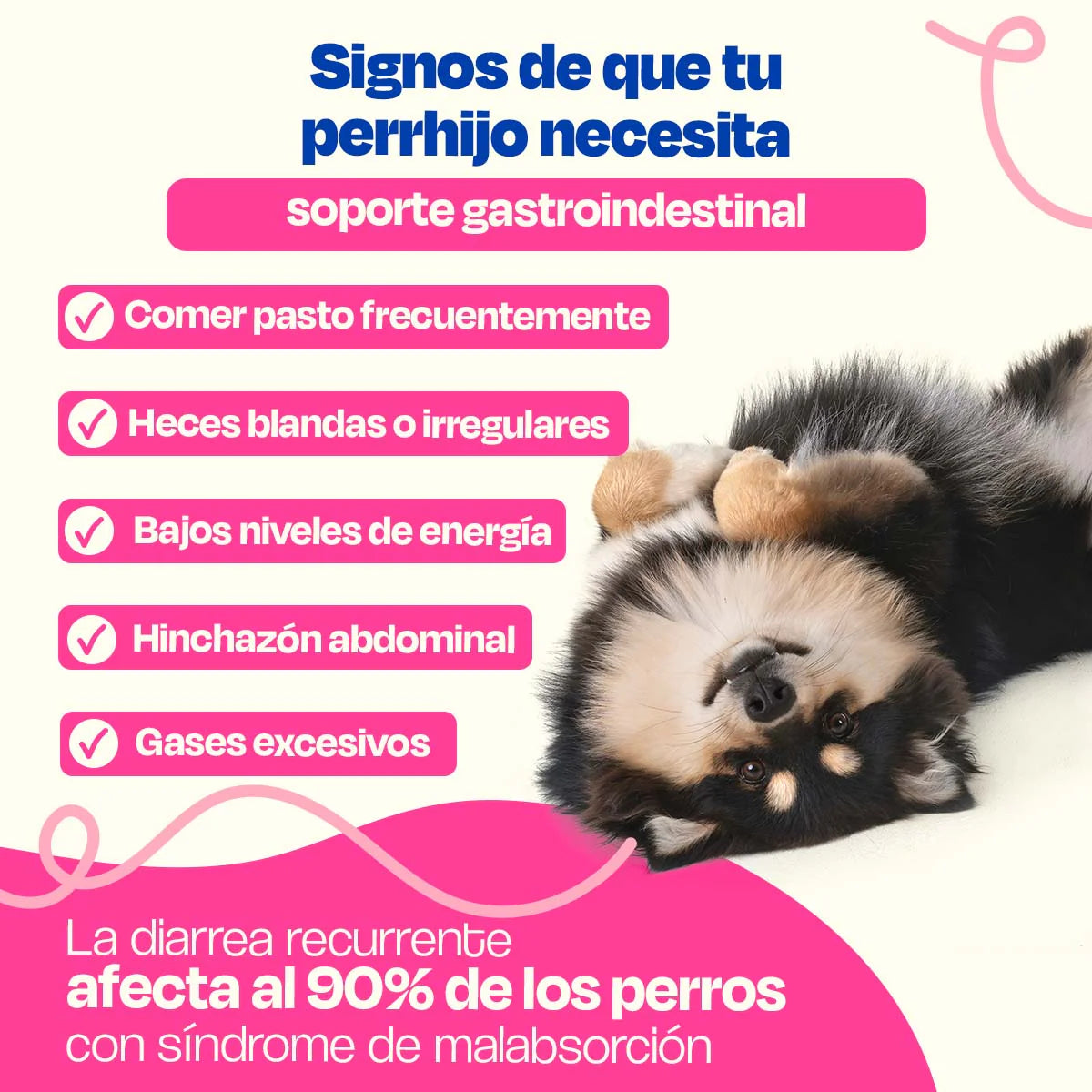 Dogelthy GASTRO AID Sabor Cerdo 270 gr ( Prebióticos + Probióticos )