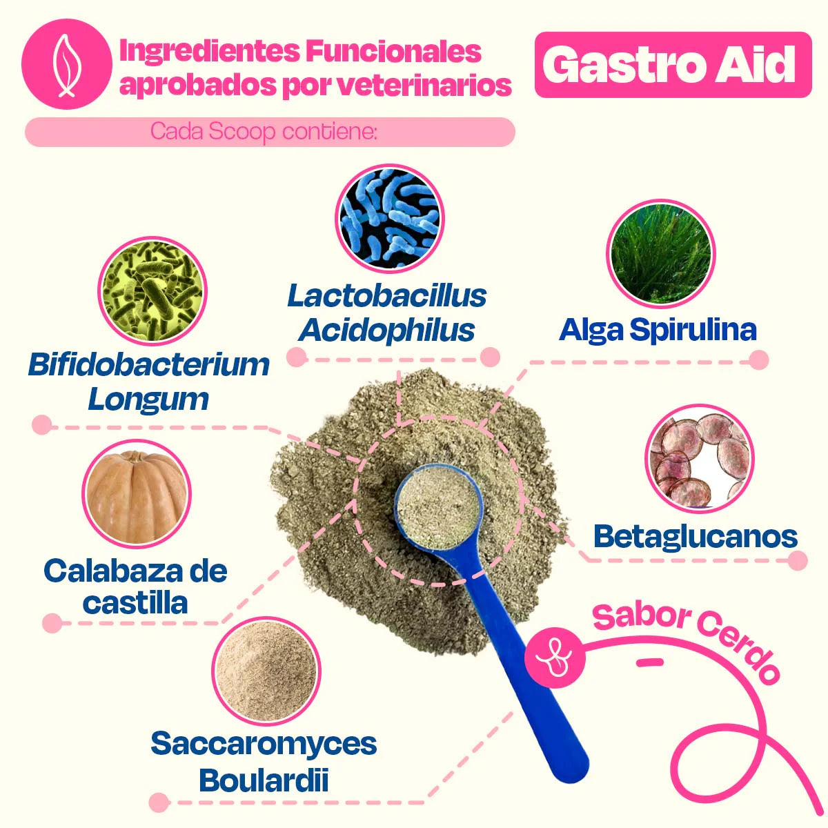 Dogelthy GASTRO AID Sabor Cerdo 270 gr ( Prebióticos + Probióticos )