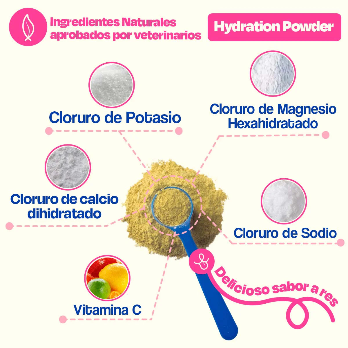 Dogelthy Hydratation Powder Sabor Res 150 gr ( Electrolitos para Perros )