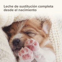 Lactol Puppy 250 g ( Leche en Polvo para cachorros con DHA )