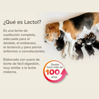 Lactol Puppy 250 g ( Leche en Polvo para cachorros con DHA )