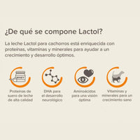 Lactol Puppy 250 g ( Leche en Polvo para cachorros con DHA )