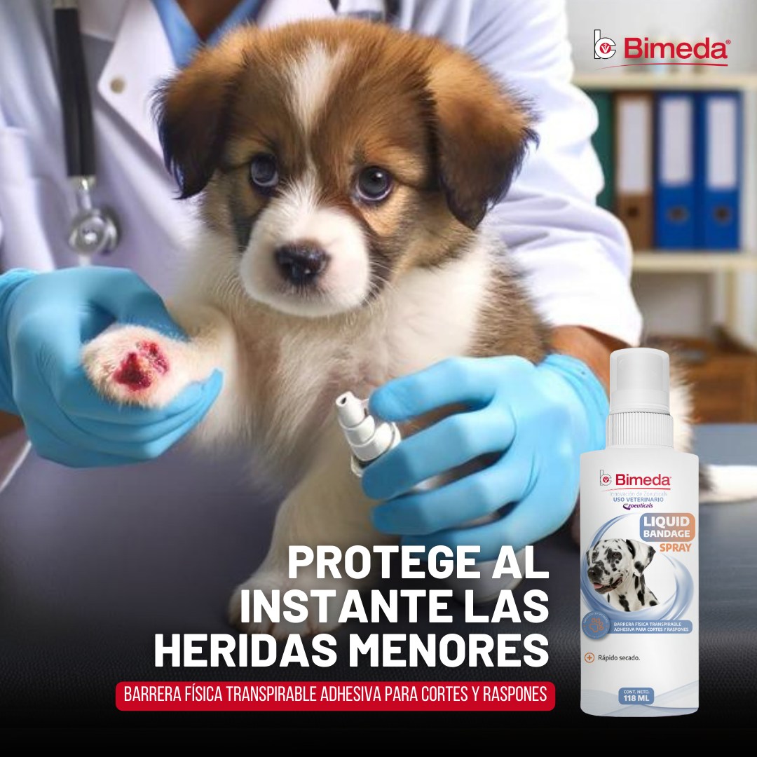 Liquid Bandage Spray 118 mL  ( Cortes y Raspones )