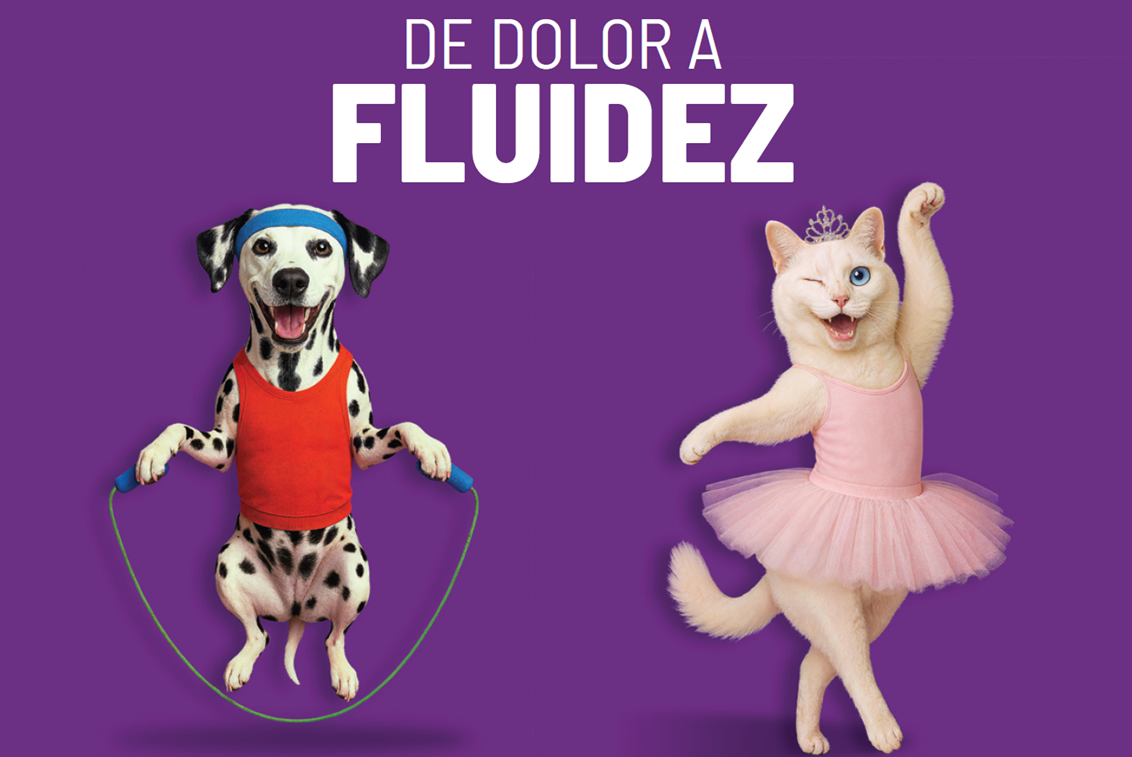 PetFast Mobility Trips ( Salud Articular ) 30 Láminas orales de rápida absorción