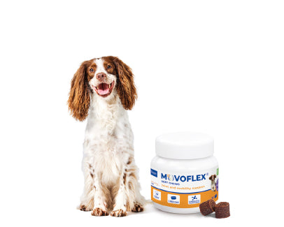 Movoflex M 30 Comprimidos Masticables ( Articulaciones ) perros 15 a 35 kg