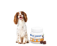 Movoflex M 30 Comprimidos Masticables ( Articulaciones ) perros 15 a 35 kg