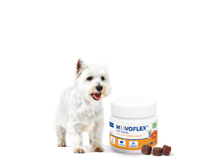 Movoflex S  30 Comprimidos Masticables ( Articulaciones ) perros hasta 15 kg