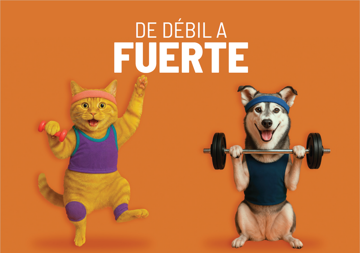 PetFast MultivitaminTrips ( Multivitaminico ) 30 Láminas orales de rápida absorción