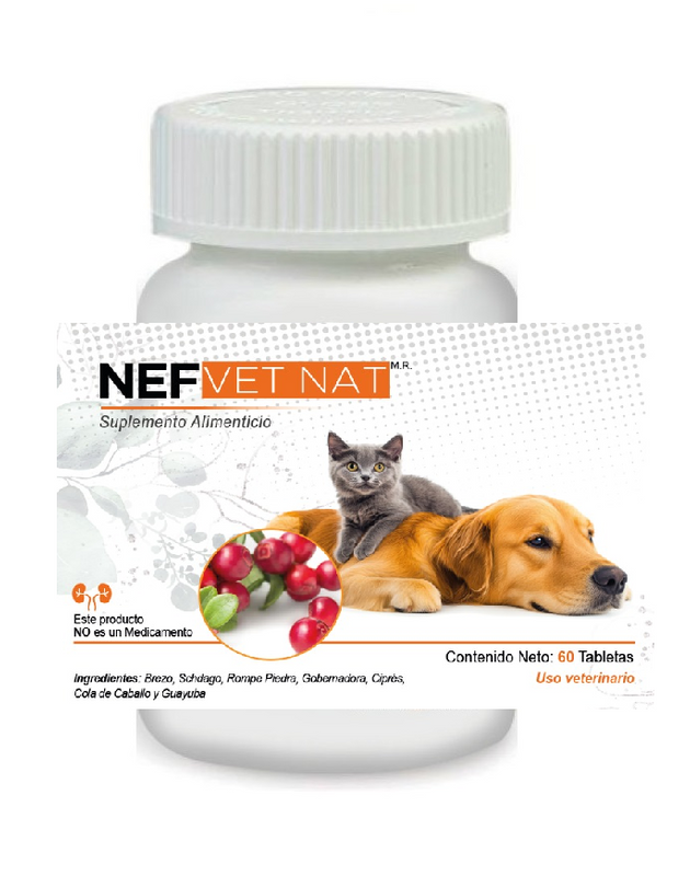 Nef VetNat 100 Tabletas  Vías Urinarias Antes Renal VetNat  (Renalvetnat)