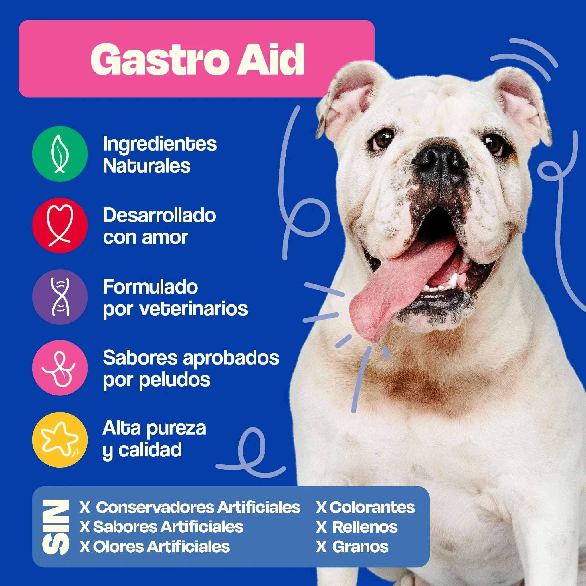 Dogelthy GASTRO AID Sabor Pescado 270 gr ( Prebióticos + Probióticos )