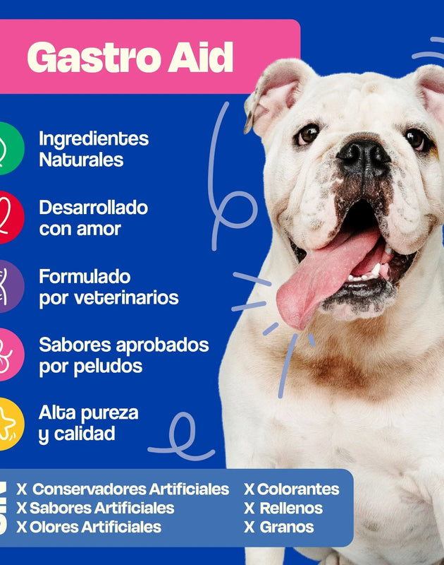 Dogelthy GASTRO AID Sabor Pescado 270 gr ( Prebióticos + Probióticos )