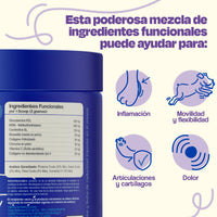 Dogelthy MOBILITY Sabor Cerdo 270 gr ( Cadera y Articulaciones )